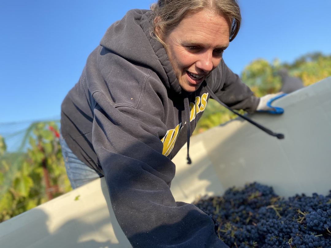 Giornata's 20th Harvest