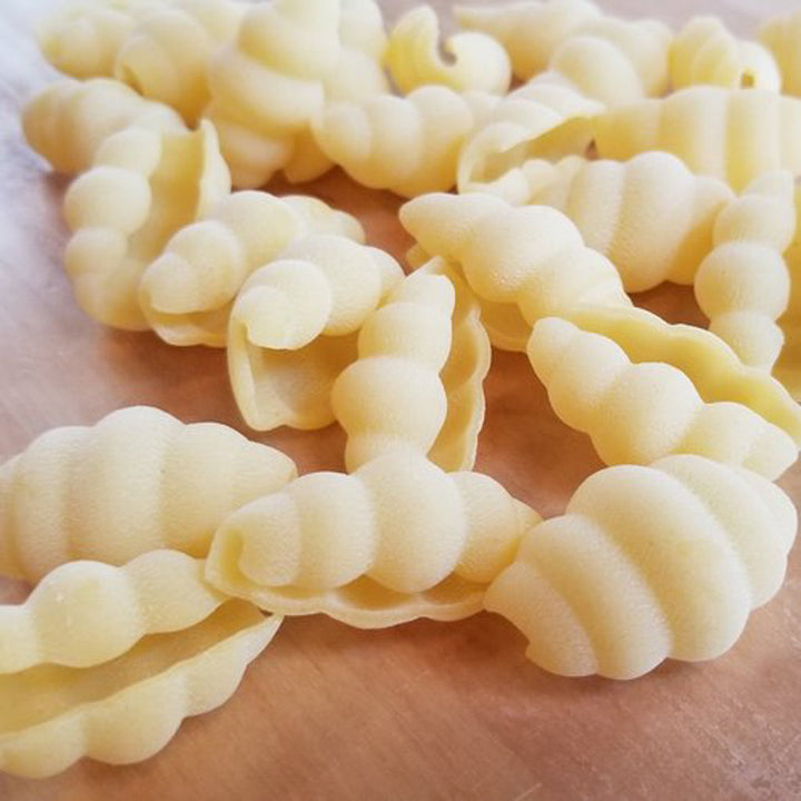 Conchiglie - 4.5lb Large Bag