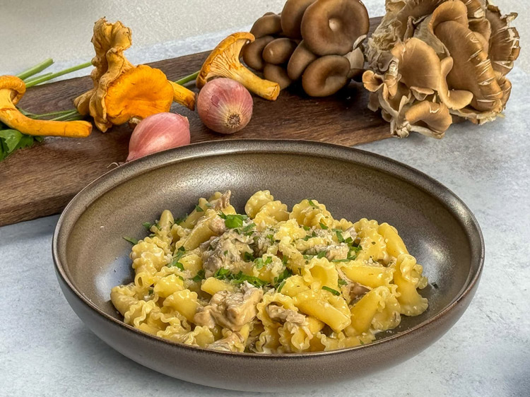 Mighty Cap Mushroom Cream Sauce