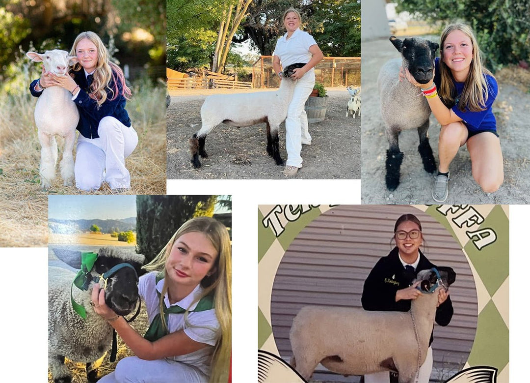 Lambstravaganza - Etto Pasta