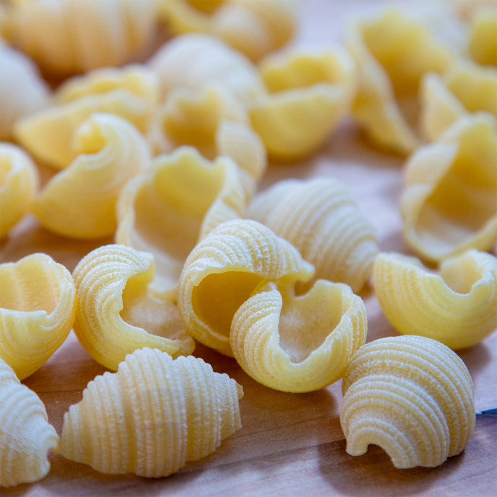 Conchiglie pasta shape