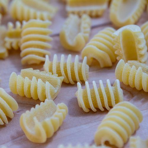 radiatori pasta shape