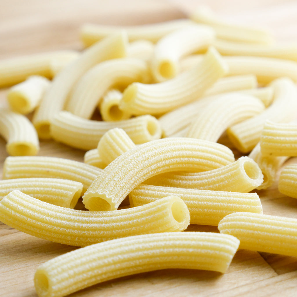 Sedani pasta shape